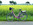 excursión en bicicleta, alquiler de bicicletas, renta, bicicleta, Hamburgo